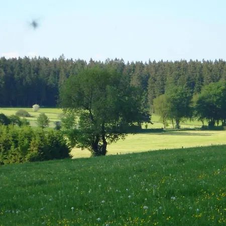 Attached On The Edge Of The Forest Vakantiehuis