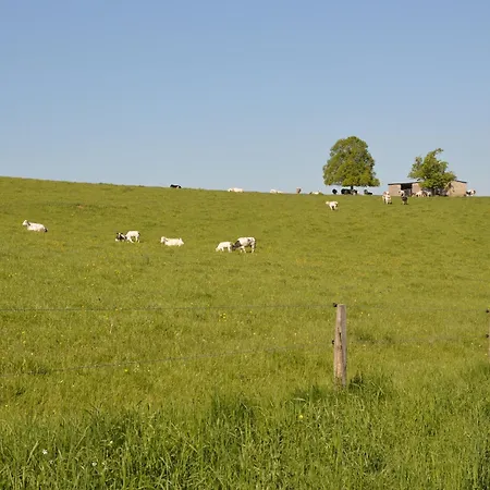 Cozy Cottage, Basse-bodeux Holiday home *