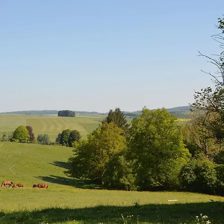 Attached On The Edge Of The Forest Vakantiehuis *