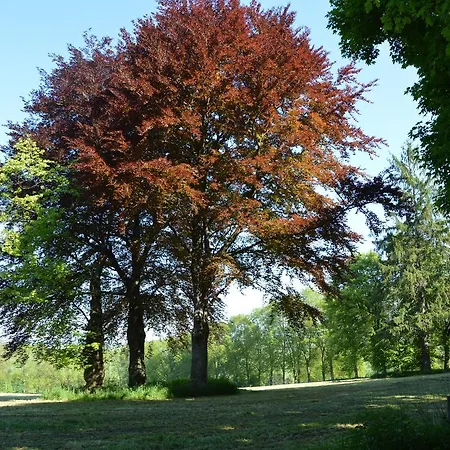 Attached On The Edge Of The Forest * Trois-Ponts